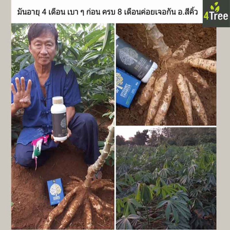 My Image 31