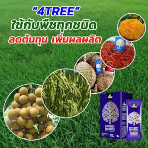 4tree