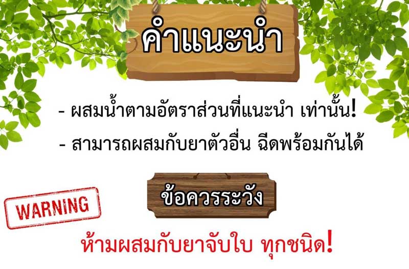 4tree โฟร์ทรี