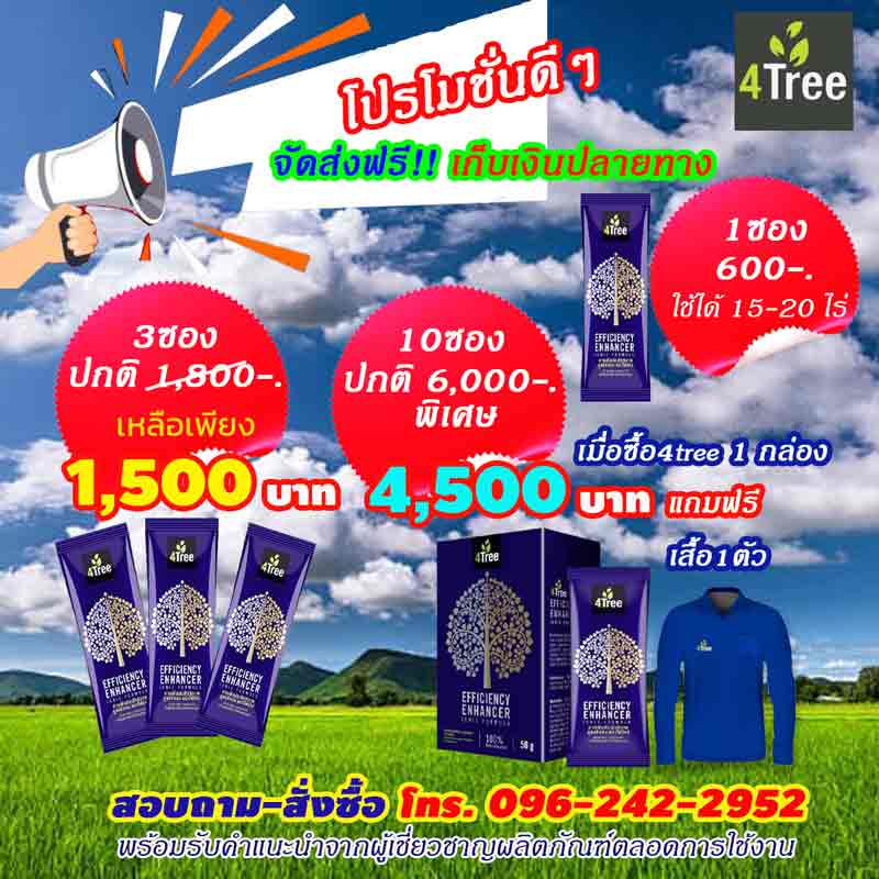 4tree โฟร์ทรี