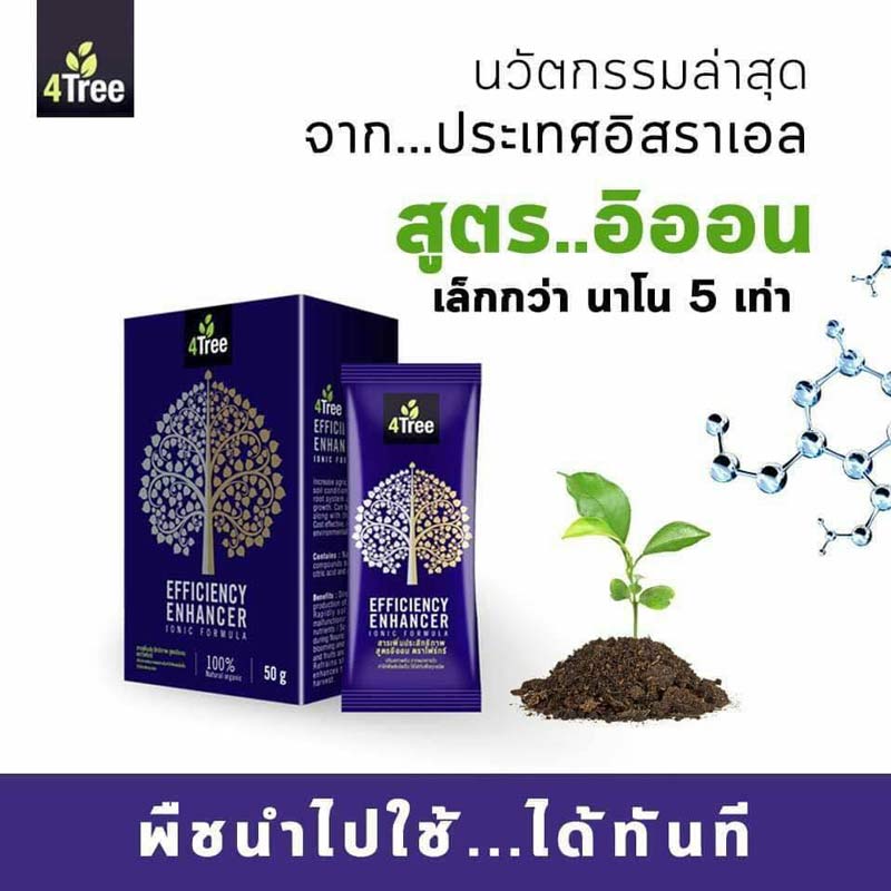 4tree โฟร์ทรี