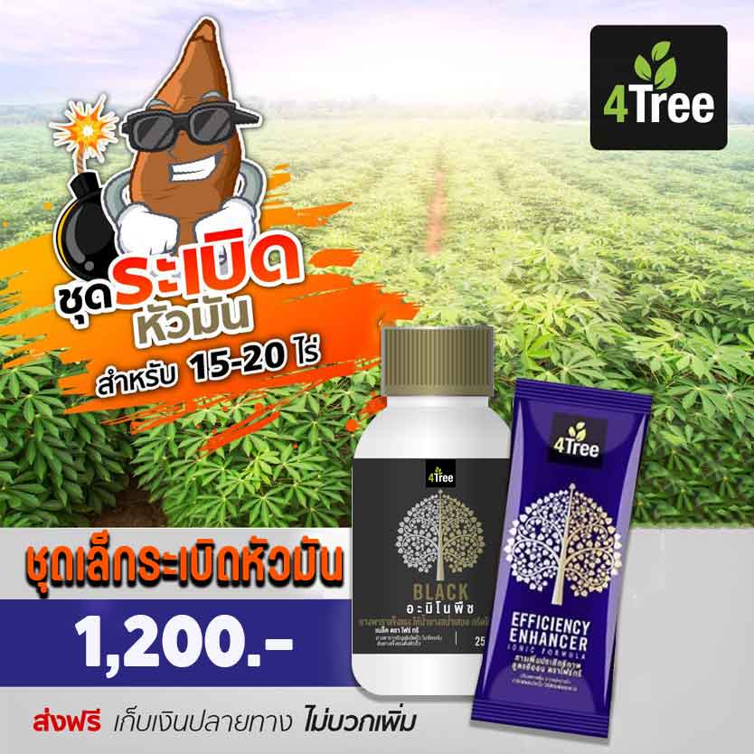 4tree